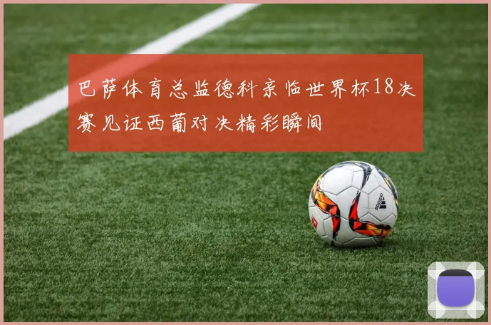 巴萨体育总监德科亲临世界杯18决赛见证西葡对决精彩瞬间